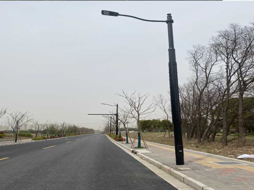 武定县上海综合杆 太阳能路灯工程
